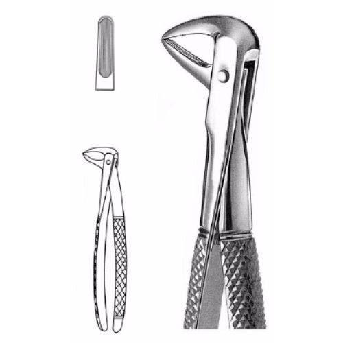 ASA EXTRACTION FORCEPS NO. 74 ENGLISH PATTERN