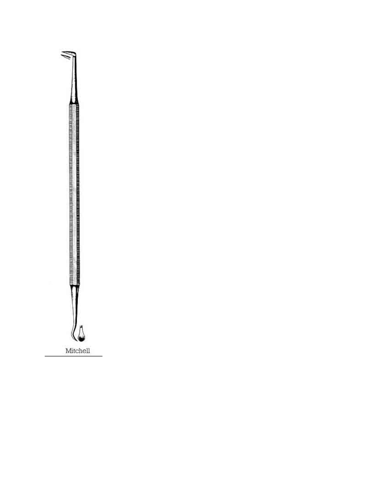 ASA MITCHEL SCALER, DOUBLE ENDED, SERRATED HANDLE
