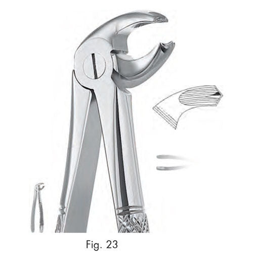 ASA EXTRACTION FORCEPS NO. 23 ENGLISH PATTERN