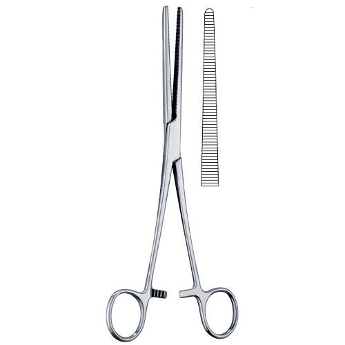 ASA ROCHESTOR-PEAN FORCEPS, STR, 6.25INCHES