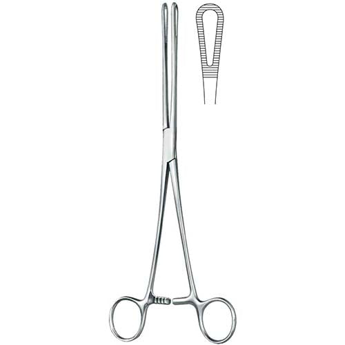 ASA RAMPLEY SPONGE FORCEPS, STR, 9.5INCHES