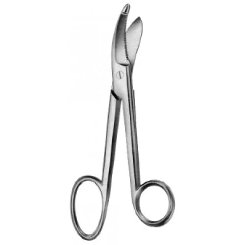 ASA PLASTER CUTTING SHEAR (BRUNS), 9.5INCHES/24CM