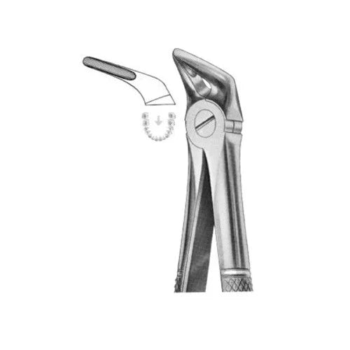 ASA EXTRACTION FORCEPS NO. 31 ENGLISH PATTERN