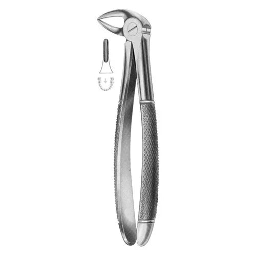 ASA EXTRACTION FORCEPS NO. 33A ENGLISH PATTERN
