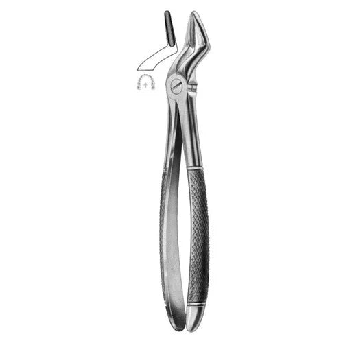 ASA EXTRACTION FORCEPS NO. 51 ENGLISH PATTERN