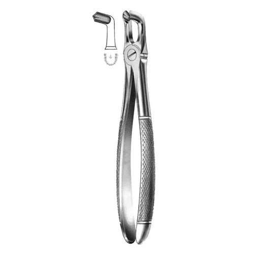 ASA EXTRACTION FORCEPS NO. 79 ENGLISH PATTERN