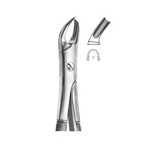 ASA EXTRACTION FORCEPS NO. 89 ENGLISH PATTERN