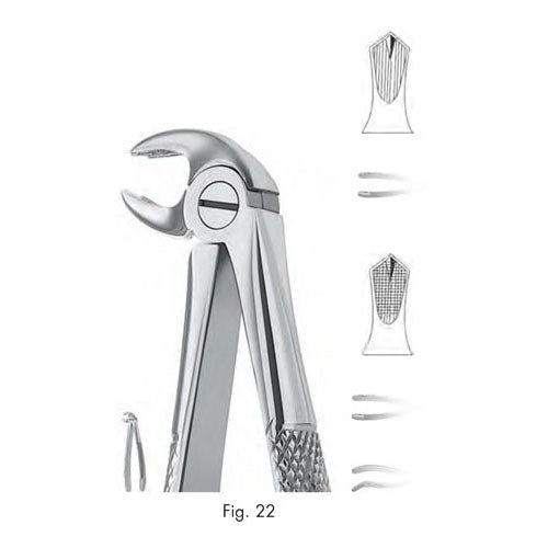 ASA EXTRACTION FORCEPS NO. 22 ENGLISH PATTERN