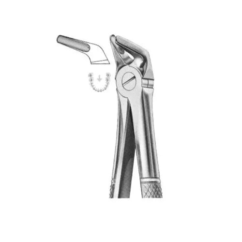 ASA EXTRACTION FORCEPS NO. 8 ENGLISH PATTERN